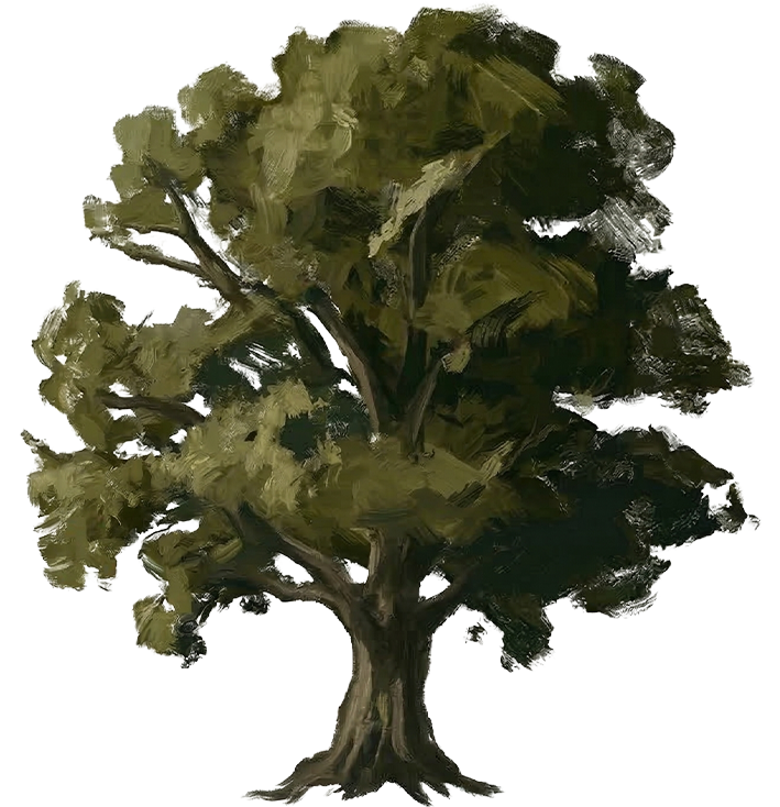 Baum